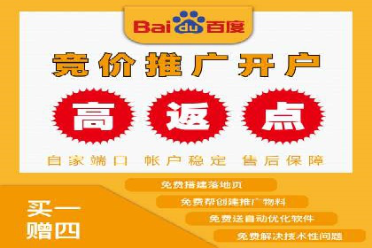 大型SEM服务公司案例分析