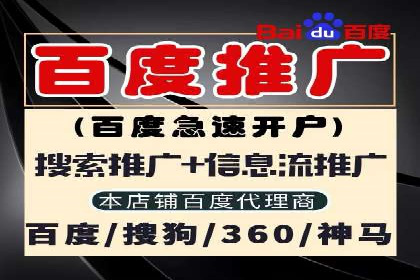 SEM投放策略优化案例分析